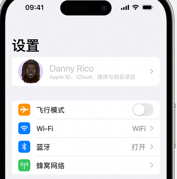 千阳appleID维修服务iPhone设置中Apple ID显示为灰色无法使用 