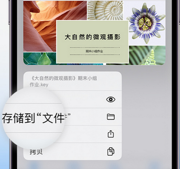 千阳apple维修中心分享iPhone文件应用中存储和找到下载文件