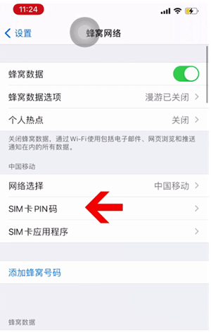 千阳苹果14维修网分享如何给iPhone14的SIM卡设置密码 