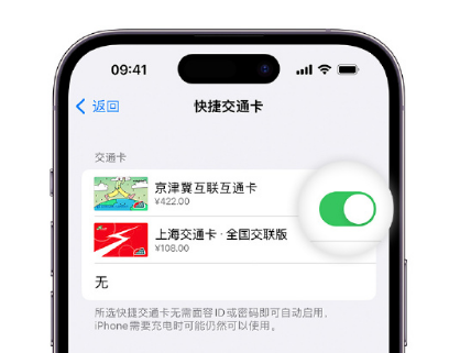 千阳apple维修点分享iPhone上更换Apple Pay快捷交通卡手绘卡面 