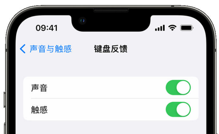 千阳苹果手机维修分享iPhone 14触感键盘使用方法 