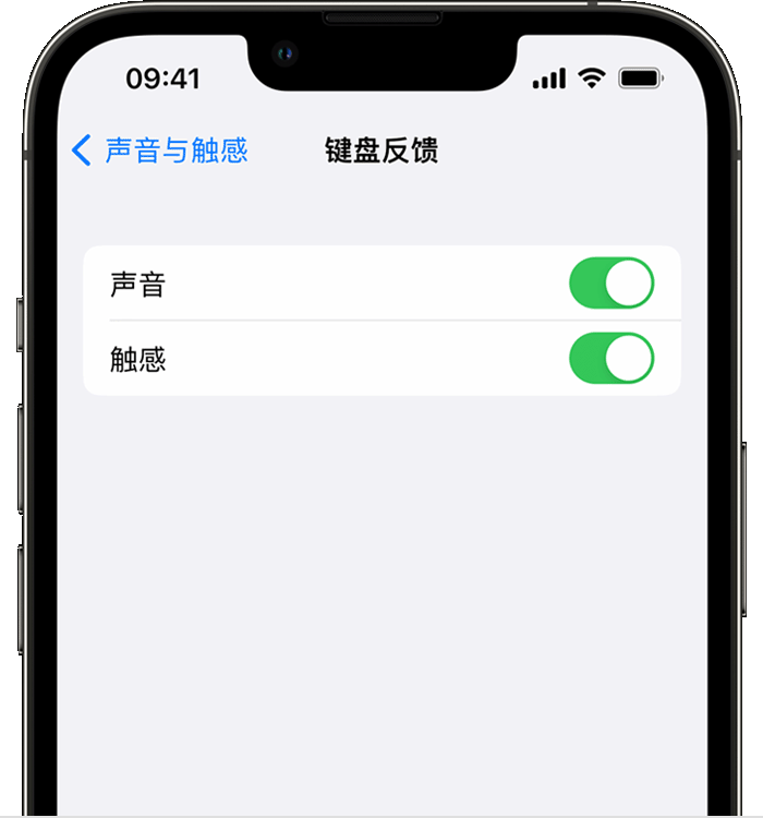 千阳苹果14维修店分享如何在 iPhone 14 机型中使用触感键盘 