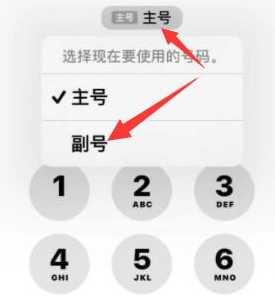 千阳苹果14维修店分享iPhone 14 Pro Max使用副卡打电话的方法 