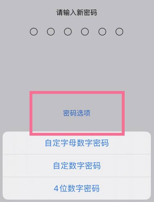 千阳苹果14维修分享iPhone 14plus设置密码的方法 