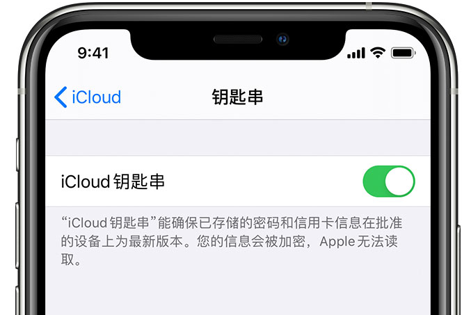 千阳苹果手机维修分享在 iPhone 上开启 iCloud 钥匙串之后会储存哪些信息 