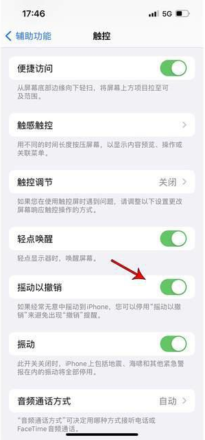 千阳苹果手机维修分享iPhone手机如何设置摇一摇删除文字 