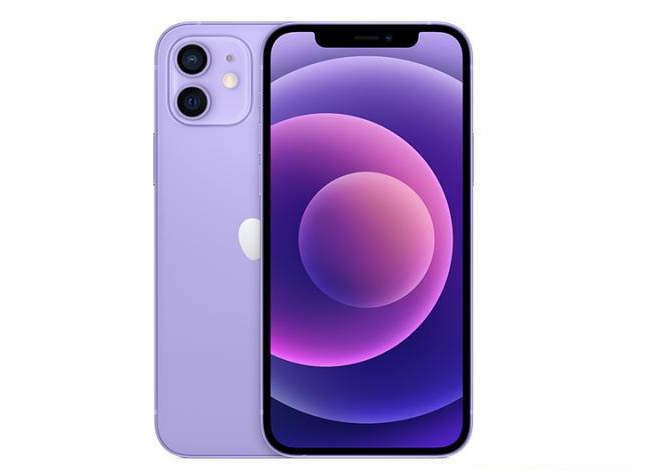千阳苹果手机维修分享现阶段要不要入手紫色版iPhone12 